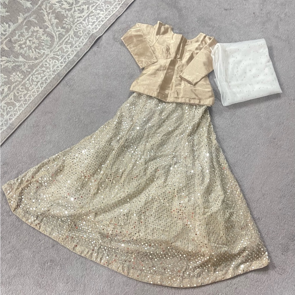 Lehanga choli